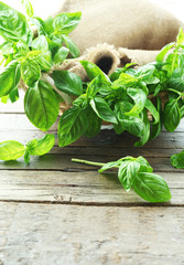 Green fresh basil in basket with sackcloth on table close up