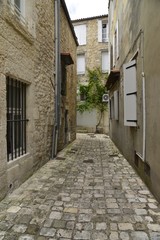 Fototapeta na wymiar Lierre sur une vieille bâtisses restaurée au tournant d'une ruelle typique de Saintes