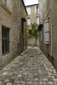 Fototapeta Ruelle typique avec un lierre sur l'une des façades des maisons rustiques du centre historique de Saintes