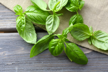 Green fresh basil with napkin on table close up
