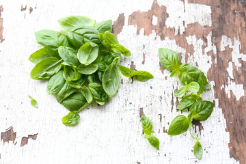 Green fresh basil on wooden background
