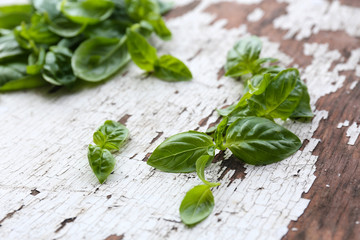 Green fresh basil on wooden background