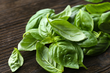 Green fresh basil on table close up