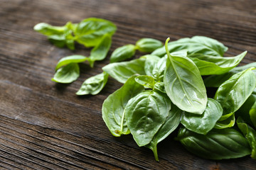 Green fresh basil on wooden background