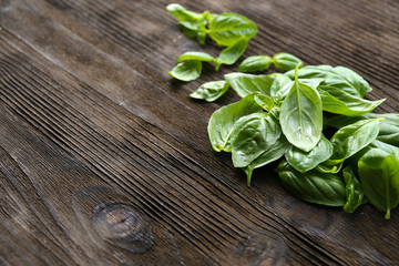 Green fresh basil on wooden background