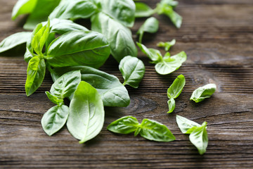 Green fresh basil on wooden background