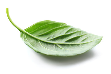 Fototapeta premium Leaf of green fresh basil isolated in white