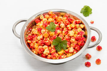 cloudberry
