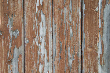 Obraz premium Alter Zaun