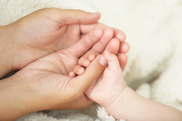 Adult and baby hands, closeup