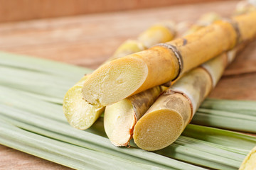 Sugar cane on wood background.