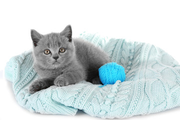 Cute gray kitten with skein  of thread isolated on white