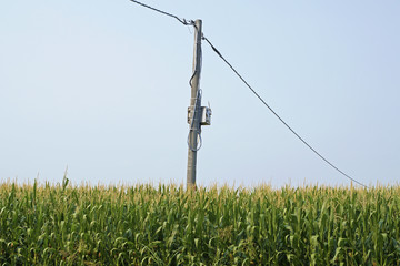 Obraz premium electricity pylon with blue sky background
