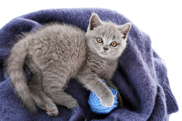 Fototapeta na wymiar Cute gray kitten with skein of thread on warm plaid, closeup