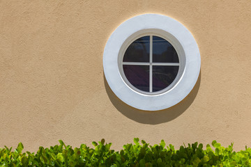 Circle white window on the texture wall. Green leaves on bush.