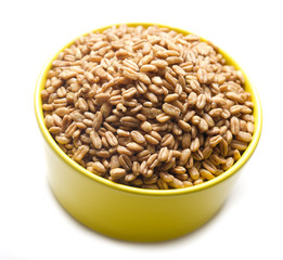 Farro