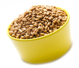 Farro