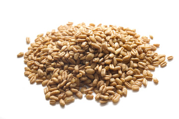 Farro