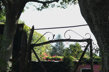 Garden behind the old gate