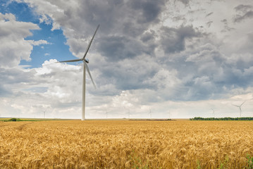 Wind turbines in wheat fields
