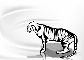 Fototapeta na wymiar tiger and water