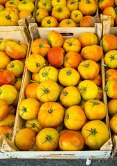 Fresh yellow tomatoes in a market.