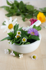 Herbs, berries, flowers and pills on color  wooden table background