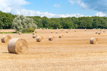 Strohballen auf abgemähtem Getreidefeld, Landwirtschaft, Erntearbeit, heißer Sommertag auf dem Feld, Erntewetter