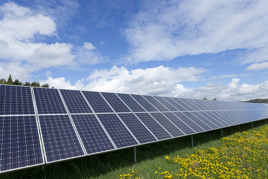 Solar Power Station on the summer flowering Meadow 