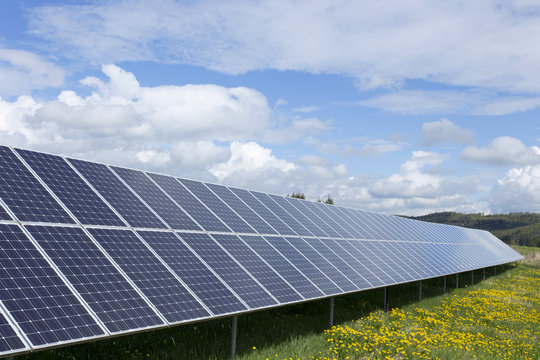 Solar Power Station on the summer flowering Meadow 
