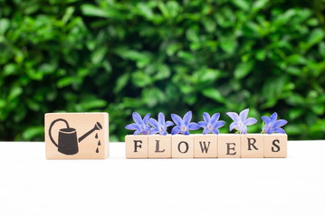 Flowers bells on a green background  with alphabeth blocks. Alphabet concept.