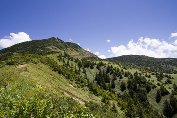 Obraz premium 志賀高原の横手山