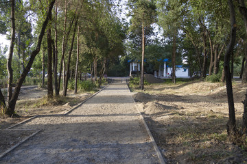 Naklejka premium Walk in the park