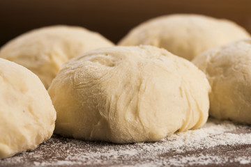 fresh dough ready for baking