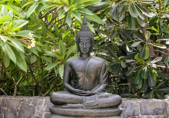 Plaid mouton avec motif Bouddha Statue de bouddha en métal lotus pose dans le jardin.