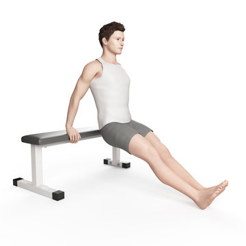 exercise illustration - bench dip