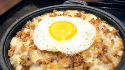 pork rice. asia chinese food