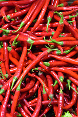 Red Chilli Pepper