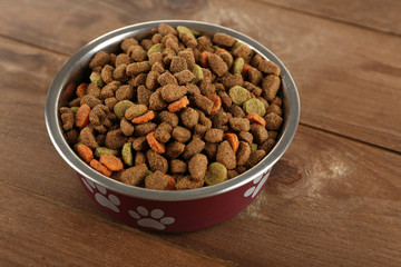 Dog food in bowl on wooden table