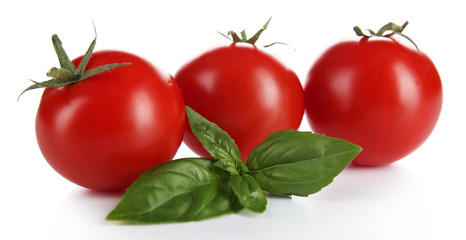 Cherry tomatoes with basil isolated on white