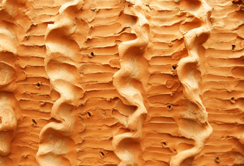 Clay Wall