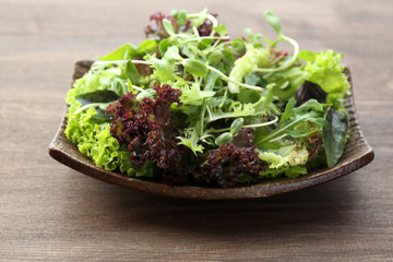 Plate of fresh mixed green salad on wooden table close up