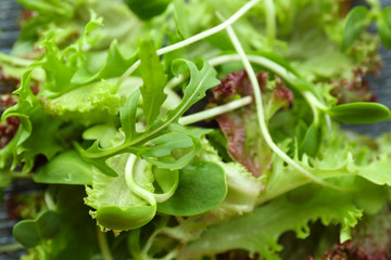 Plate of fresh mixed green salad close up