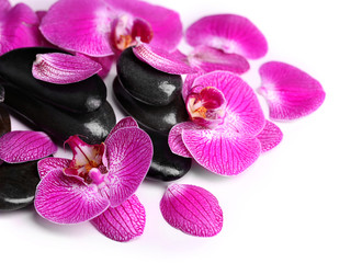 Violet orchid and zen stones isolated on white