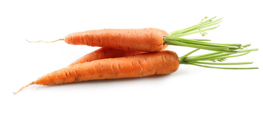 Fresh carrots isolated on white