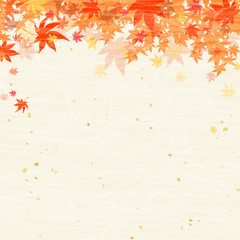紅葉　もみじ　秋　和紙風