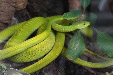 Obraz premium SONY DSC