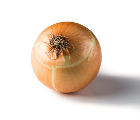 onion isolated on white