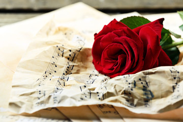 Beautiful rose on crumpled music sheets on wooden table, closeup