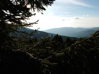 Жаркий полдень в Карпатах © iuliiia